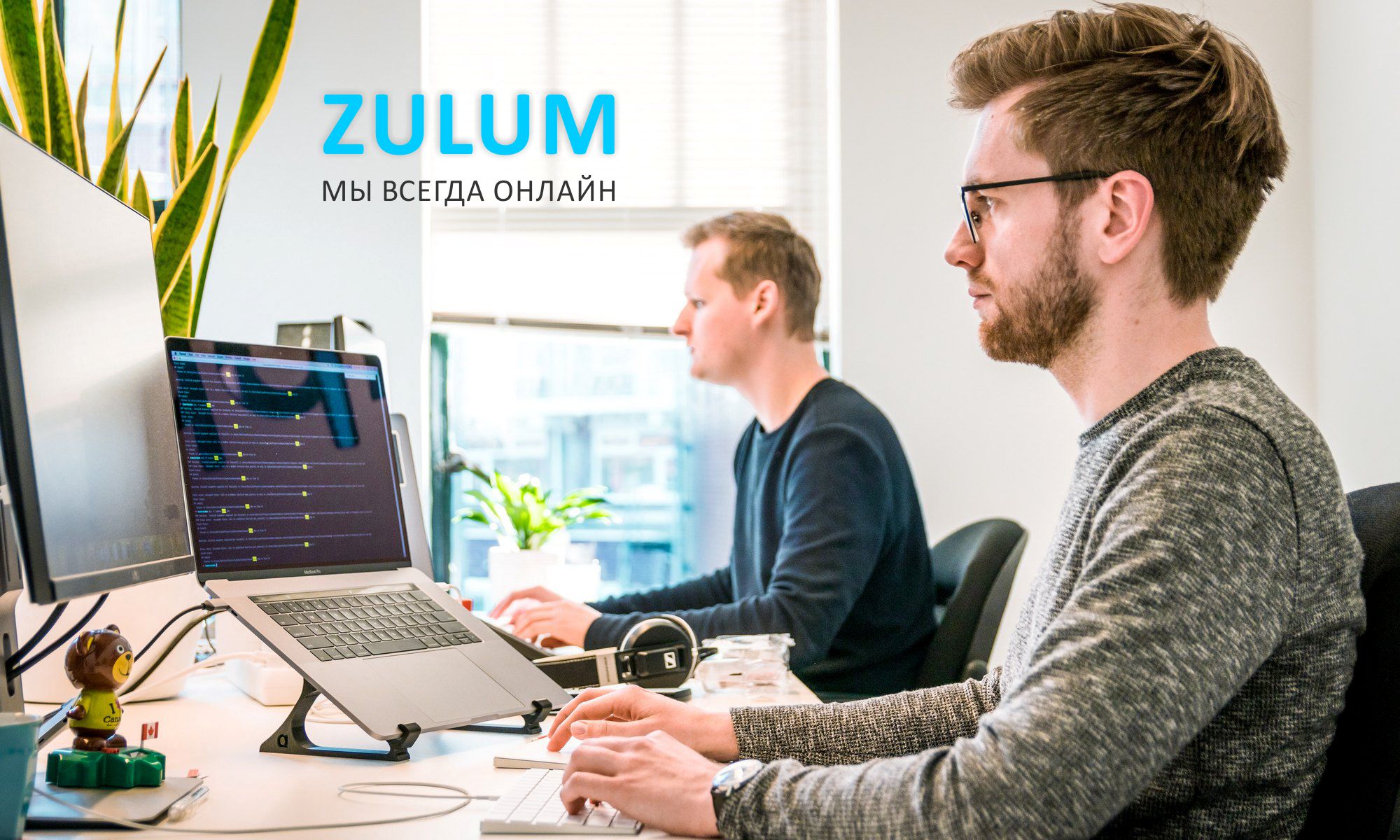 О сервисе ZULUM.ru
